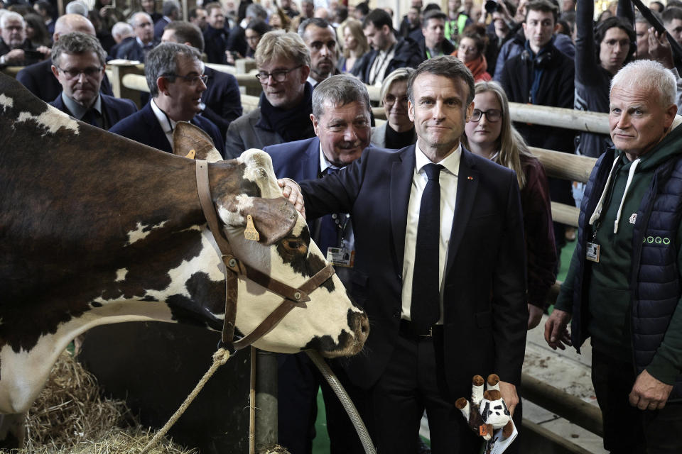 Emmanuel Macron caresse « Oreillette »  lors de sa visite au 60e Salon international de l’agriculture.